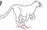 رسم الفهد