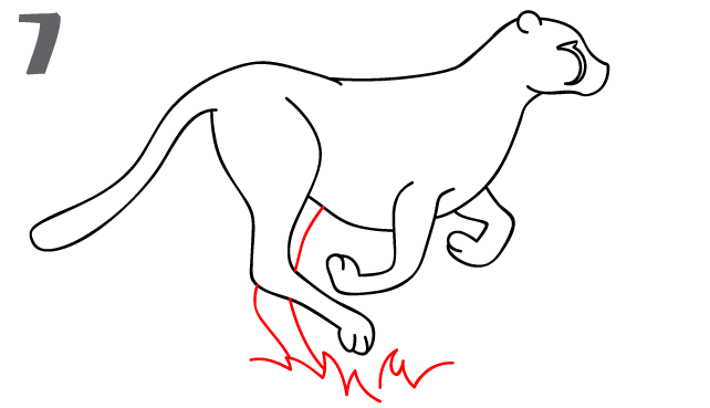 رسم الفهد