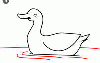 رسم بطة