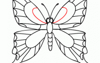 رسم فراشة