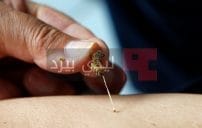 النحل وتأثيره على صحة الإنسان 588x411