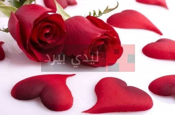 صور ورود حب رومانسية