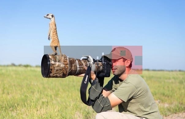 930