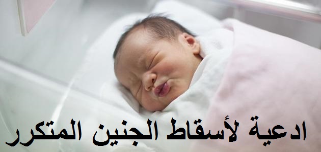 الجنين المتكرر