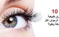 اطول