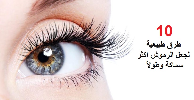 اطول