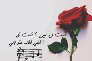الصور في الحب e1468510656902