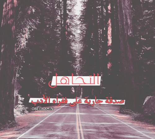 كلام حلو