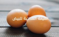 الغذائية للبيض
