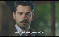 حب اعمى 1