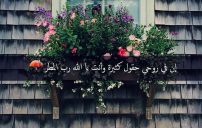 مكتوبة كلام