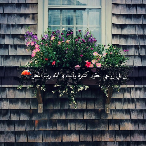 مكتوبة كلام