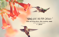 الصور الاسلامية في الدنيا