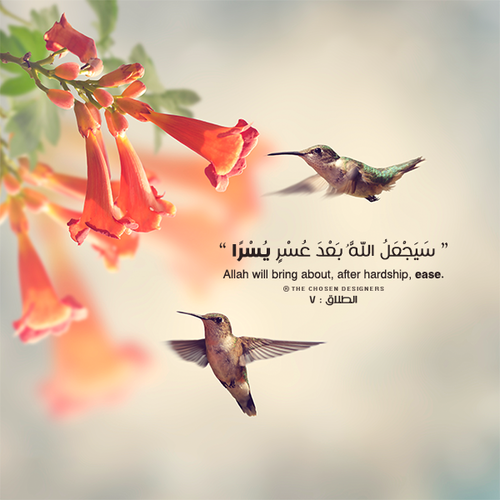 الصور الاسلامية في الدنيا