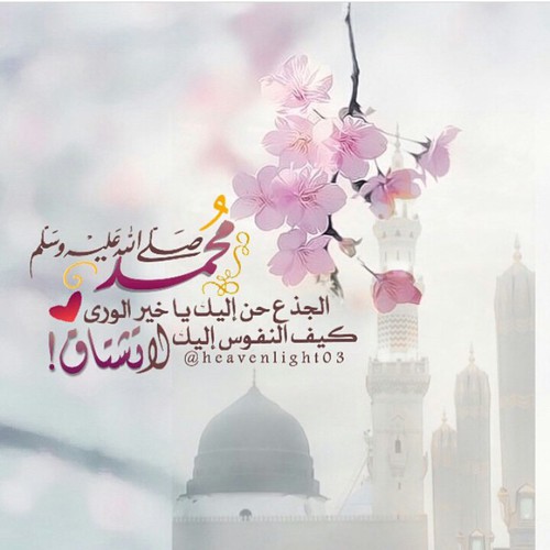 الصور على النبي