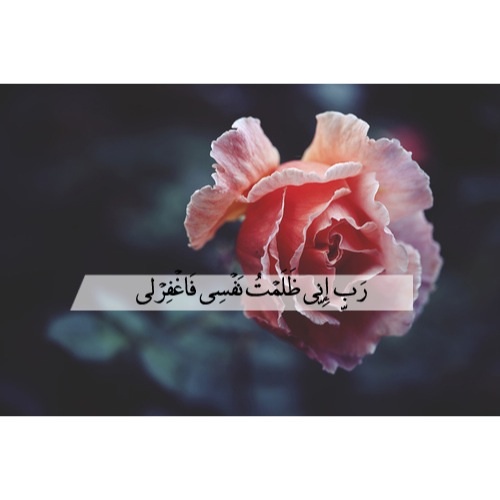 صور اسلامية 1