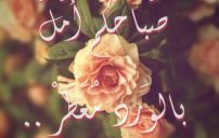 صور صباح الامل