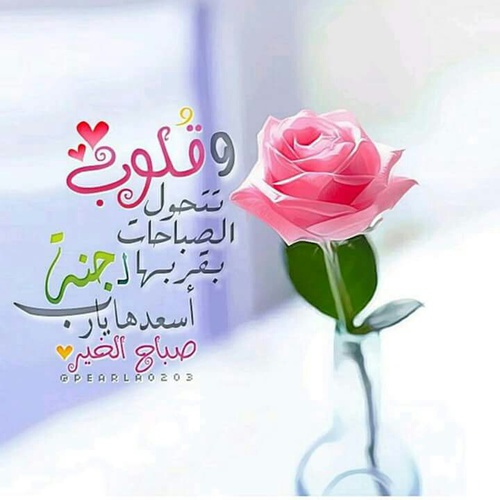 اجمل صور صباحية