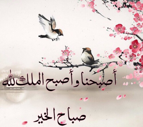 اصبحنا واصبح الملك لله