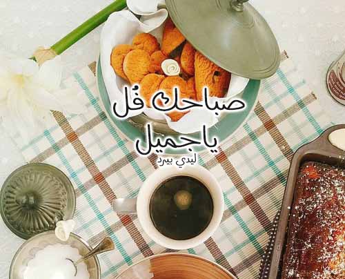 فل ياجميل