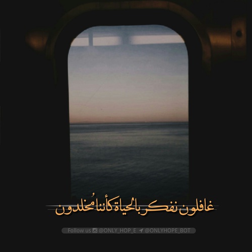 صور جميلة عن الحياة