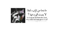 عبارات جميلة 1