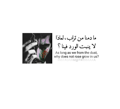 عبارات جميلة 1