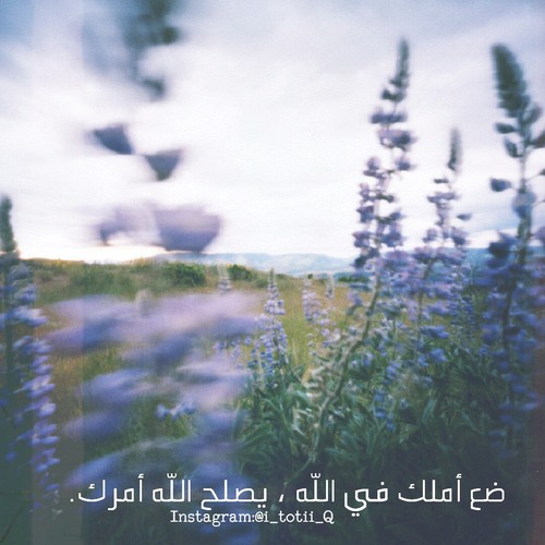 صور عن الامل