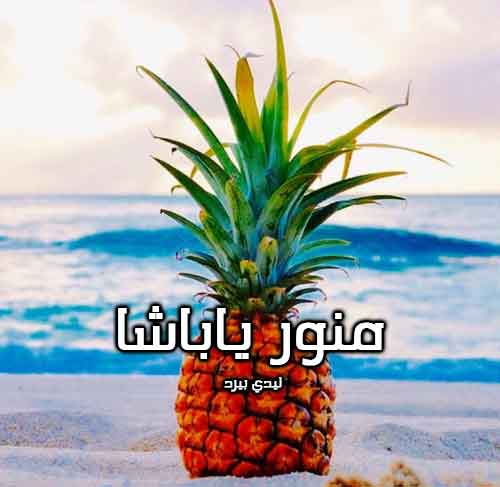 منور ياباشا 3