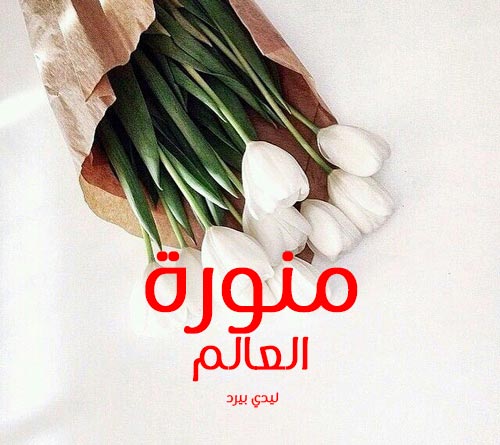 منورة 4