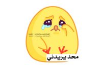 واتس اب