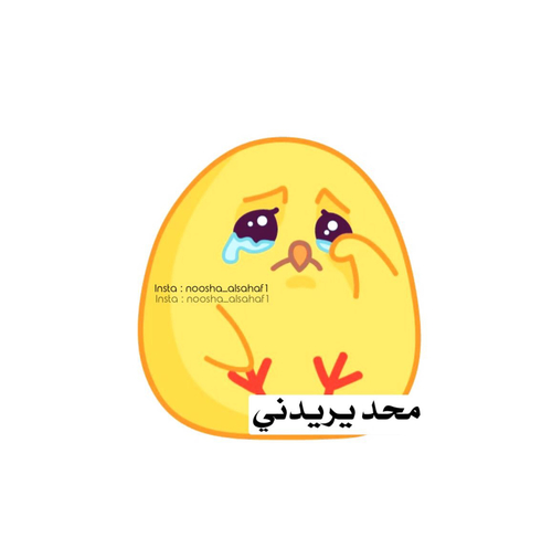 واتس اب