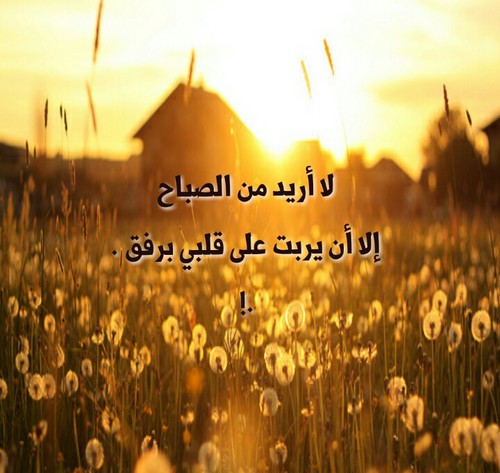 صباحية