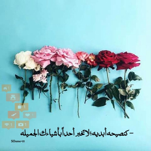 كلام واتس اب