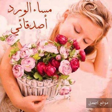 الاصدقاء e1474649262850
