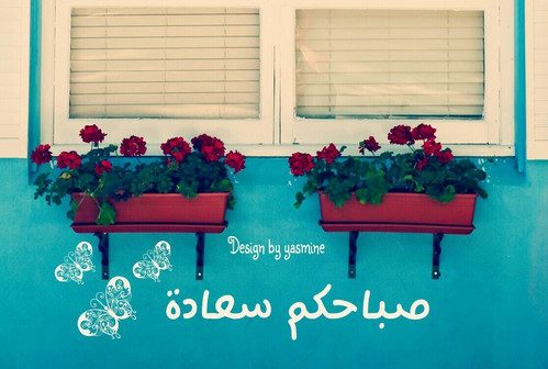 صور صباح السعادة e1474044323773