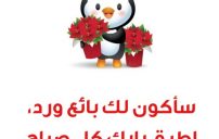صور صباحية