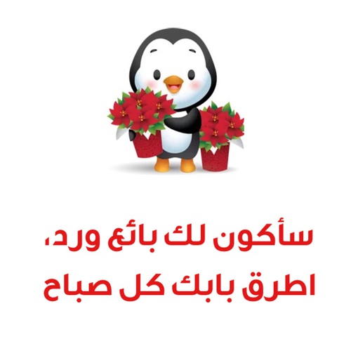 صور صباحية