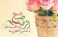 الرضا