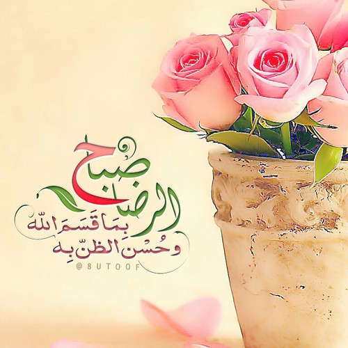 الرضا