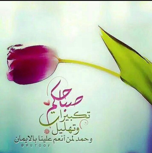 صور عرض عيد الاضحى