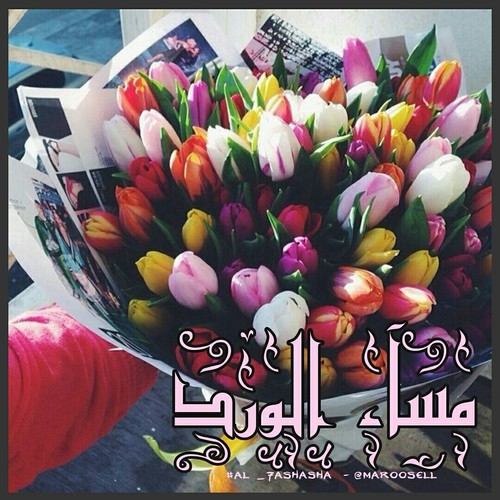 مساء الورد