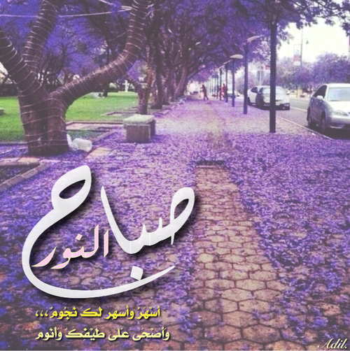 مكتوب عليها صباح النور