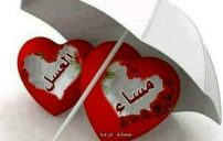 القلوب