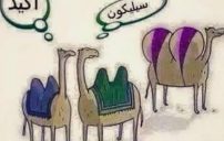 صور مضحكة جدا e1476345271420