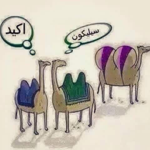 صور مضحكة جدا e1476345271420