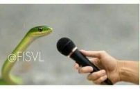 صور مضحكة