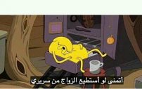 الصور المضحكة في العالم العربي
