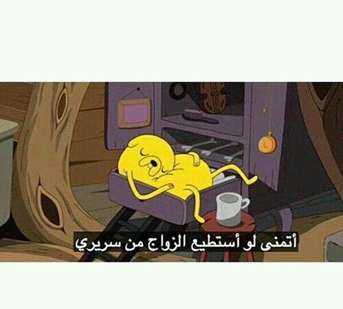 الصور المضحكة في العالم العربي