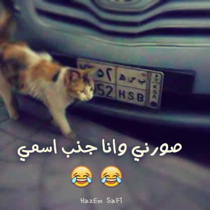 صور مضحكة جدا